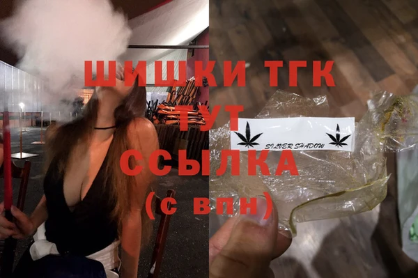 молекула духа Алексеевка
